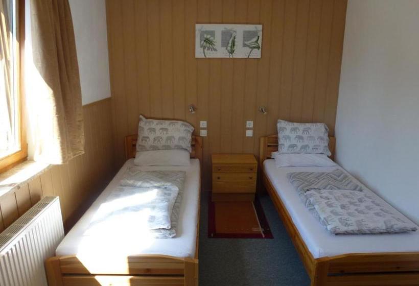 Общежитие Gailtal Inn