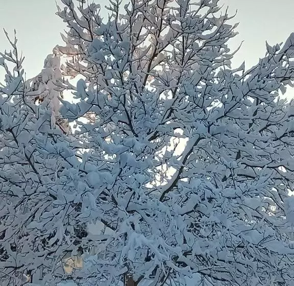 Retkeilymaja Gasthaus Zur Moosmühle
