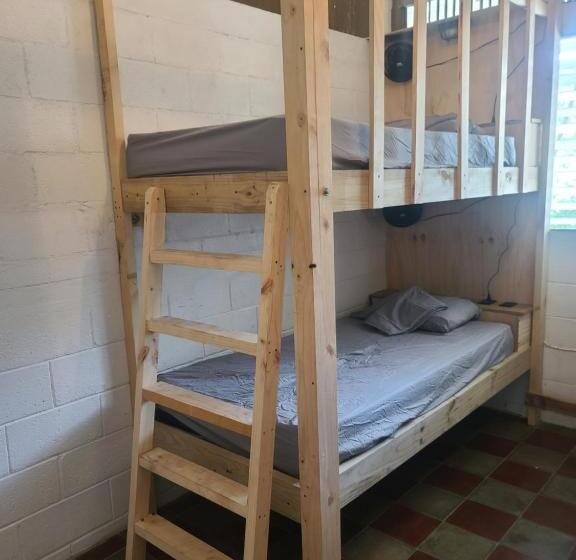 هاستل Hammock Plantation