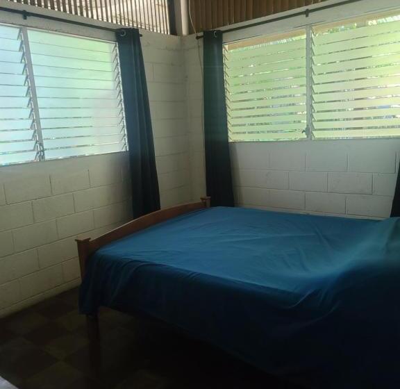 هاستل Hammock Plantation