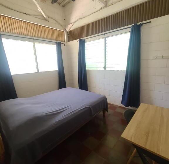 هاستل Hammock Plantation