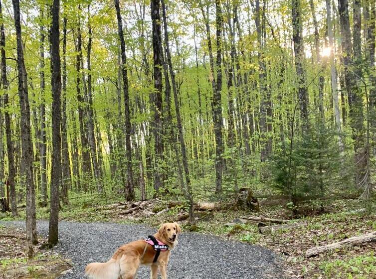 Au Gré Du Temps   Gîte B&b