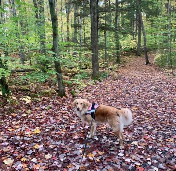 Au Gré Du Temps   Gîte B&b