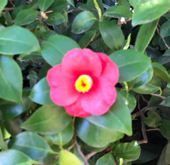 ベッドアンドブレックファースト Al Grottino