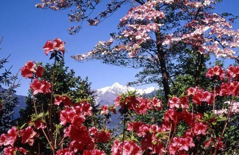 Aamiaismajoitus (B&B) Al Grottino