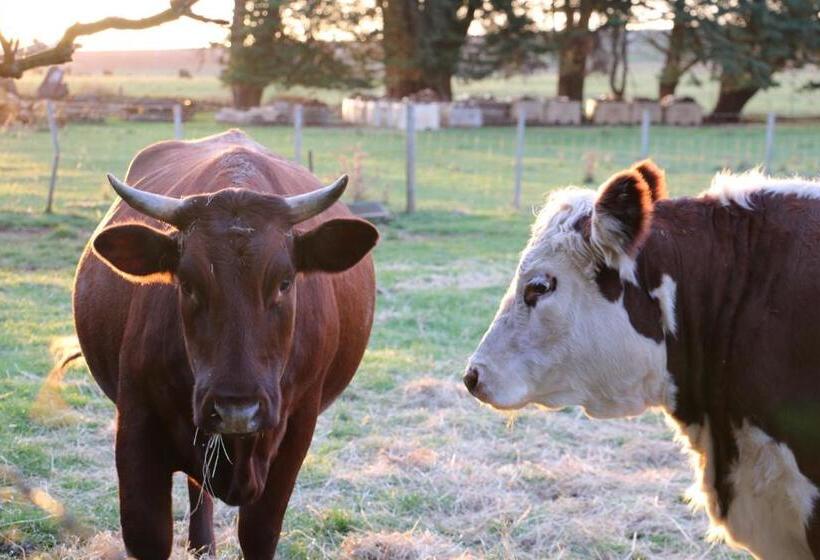 ベッドアンドブレックファースト Cradle At Casa Blanca Country Retreat