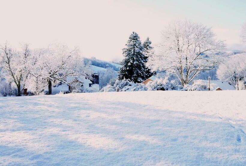 مبيت وإفطار Domaine Des Maréquiers Chambre Pimprenelle