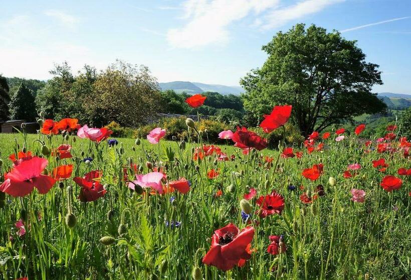 مبيت وإفطار Domaine Des Maréquiers Chambre Pimprenelle