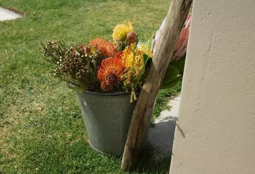 Aamiaismajoitus (B&B) Stellar Overberg Travellers Lodge