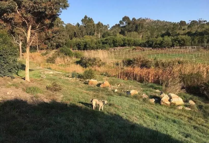 Aamiaismajoitus (B&B) Stellar Overberg Travellers Lodge