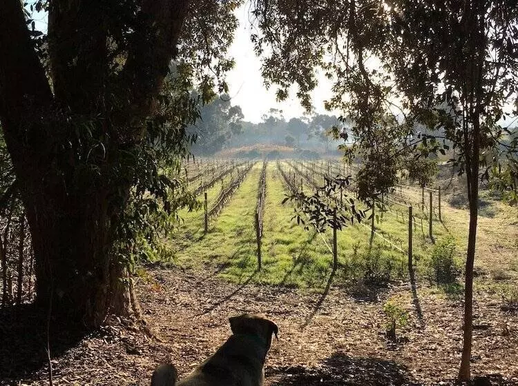 Aamiaismajoitus (B&B) Stellar Overberg Travellers Lodge