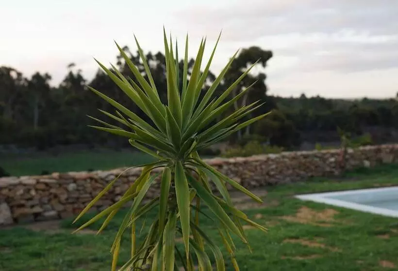 Aamiaismajoitus (B&B) Stellar Overberg Travellers Lodge