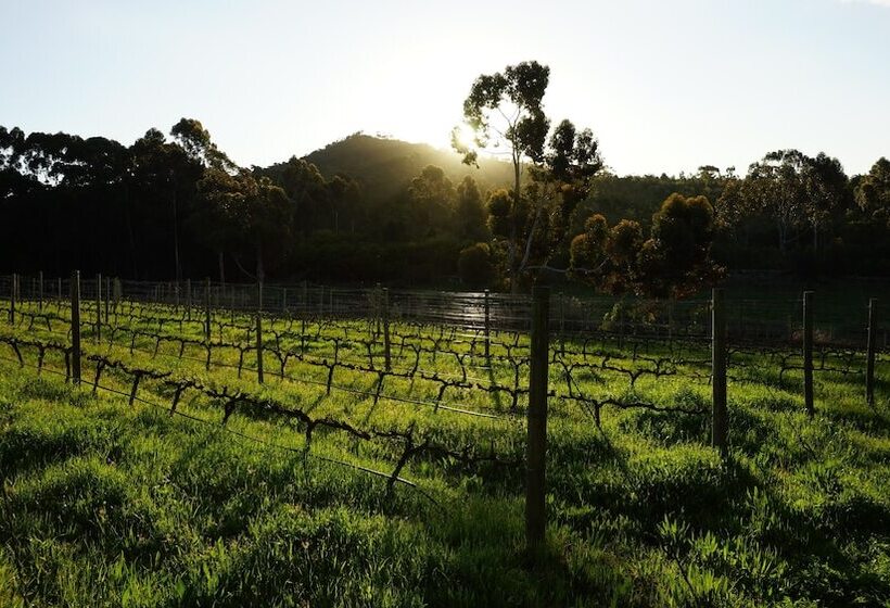 مبيت وإفطار Stellar Overberg Travellers Lodge