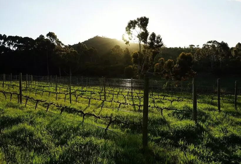 Aamiaismajoitus (B&B) Stellar Overberg Travellers Lodge