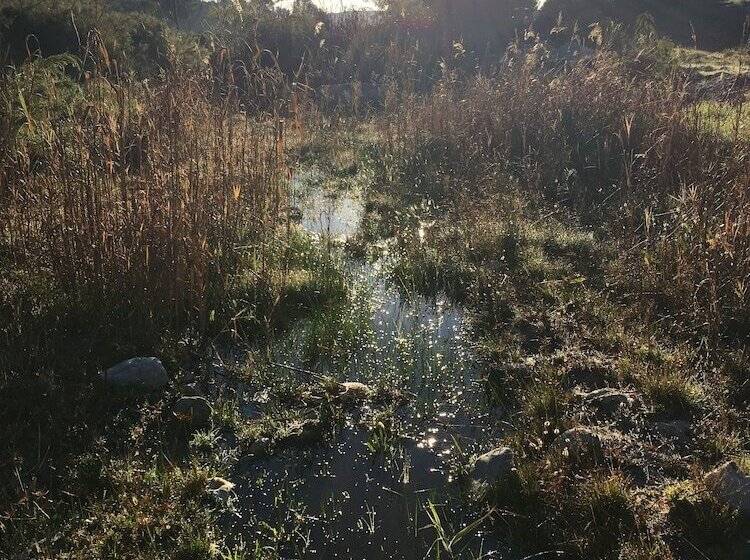 مبيت وإفطار Stellar Overberg Travellers Lodge