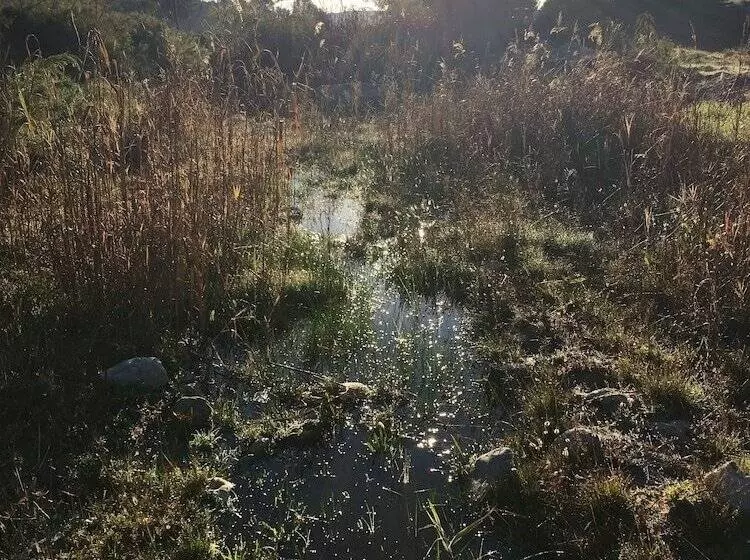 Aamiaismajoitus (B&B) Stellar Overberg Travellers Lodge