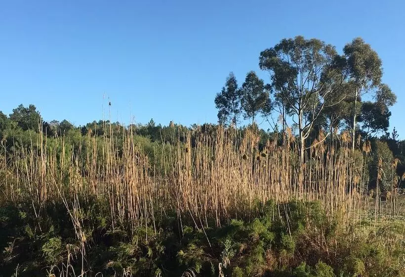 Aamiaismajoitus (B&B) Stellar Overberg Travellers Lodge