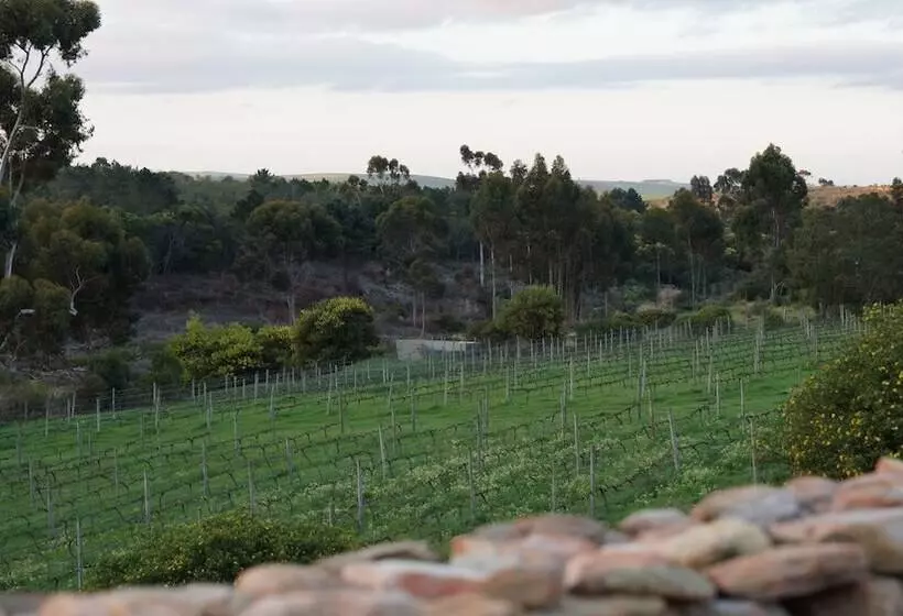 Aamiaismajoitus (B&B) Stellar Overberg Travellers Lodge