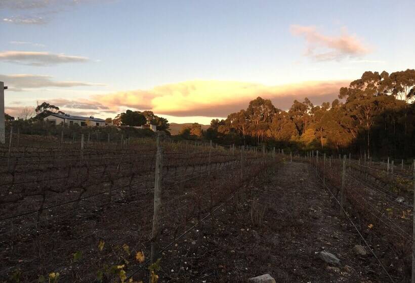 مبيت وإفطار Stellar Overberg Travellers Lodge