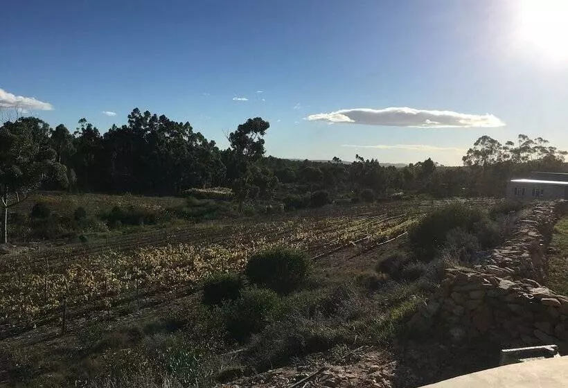 Aamiaismajoitus (B&B) Stellar Overberg Travellers Lodge