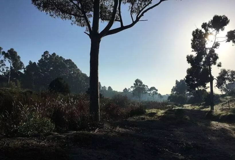 Aamiaismajoitus (B&B) Stellar Overberg Travellers Lodge