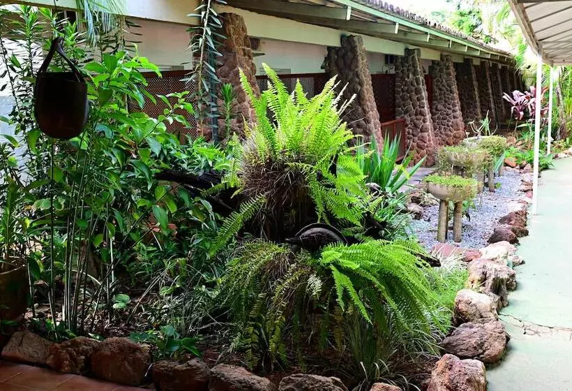 ホテル Sesi Aruana