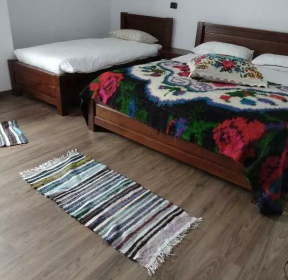 ペンション Casa Ivascu Moisei