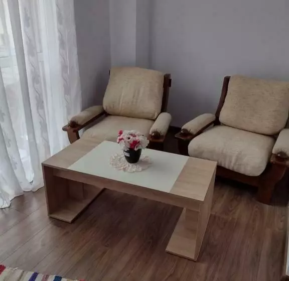 ペンション Casa Ivascu Moisei