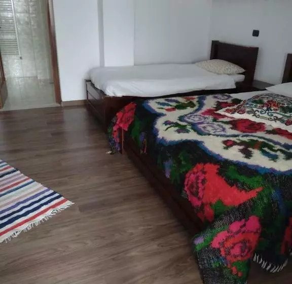 ペンション Casa Ivascu Moisei