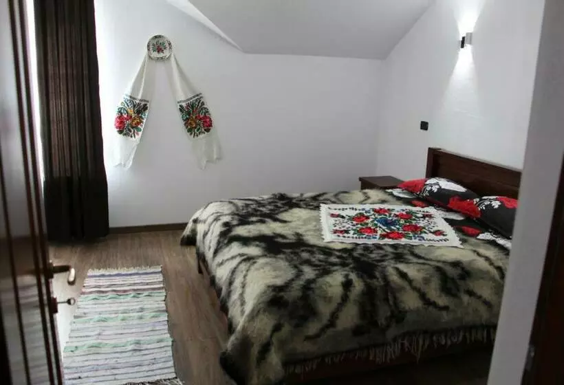 ペンション Casa Ivascu Moisei