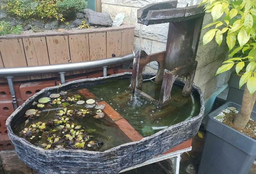 بنسيون Jnw Minbak