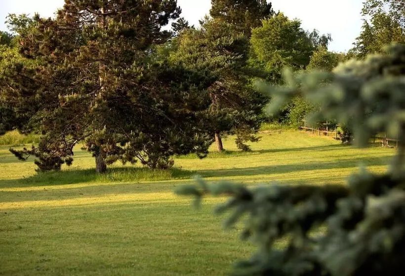 Majatalo L Hote Antique   Maison D Hote  4 Suites Avec Cuisine