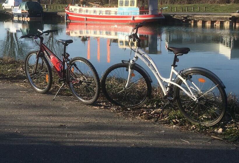 膳宿费 La Part Des Anges