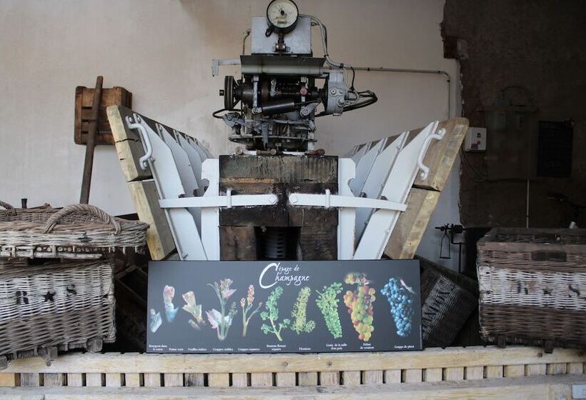 膳宿费 La Part Des Anges