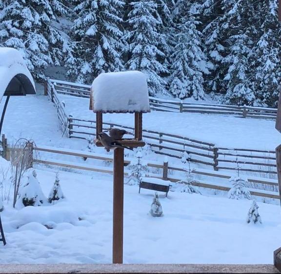 پانسیون Marmarosy