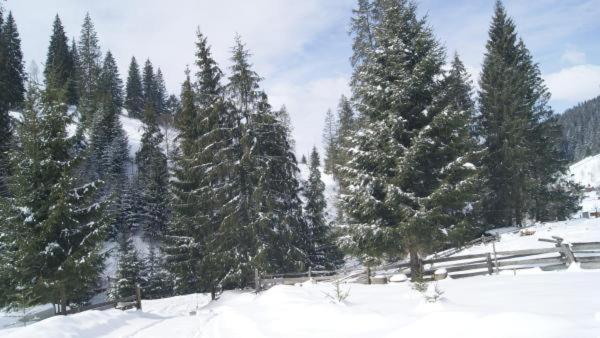 پانسیون Marmarosy