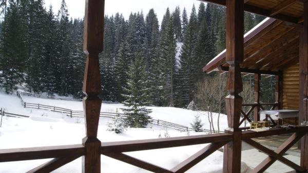 پانسیون Marmarosy