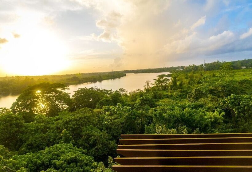 פנסיון Mastiff Grand Bolgoda