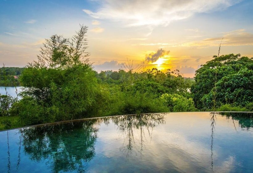 פנסיון Mastiff Grand Bolgoda