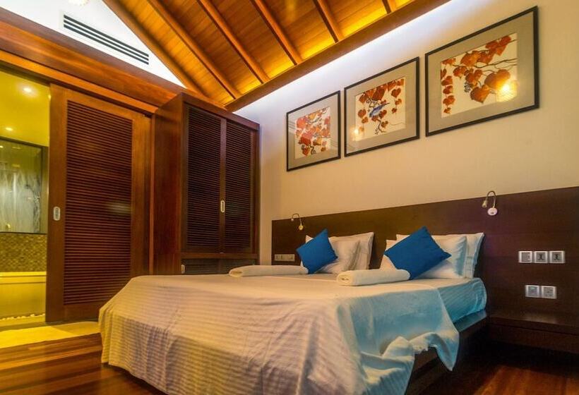 פנסיון Mastiff Grand Bolgoda