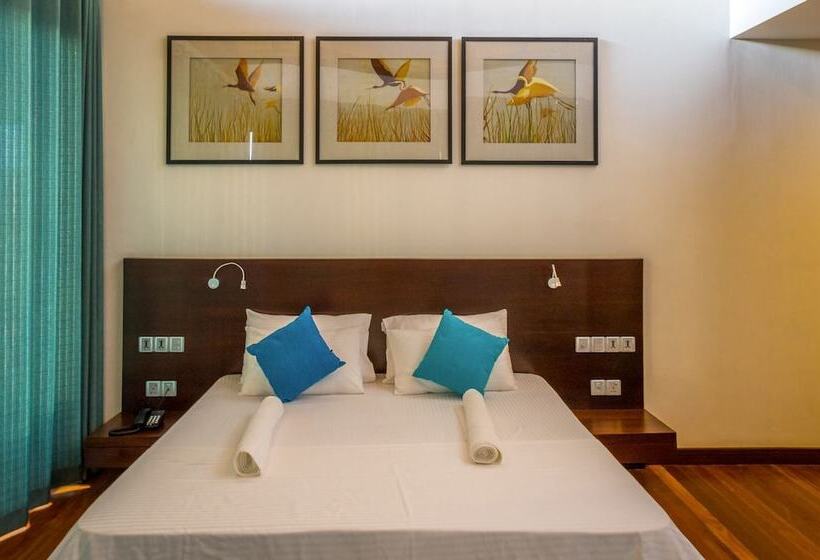 פנסיון Mastiff Grand Bolgoda