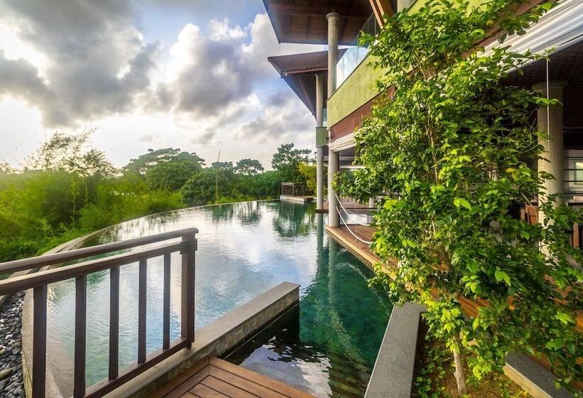 פנסיון Mastiff Grand Bolgoda