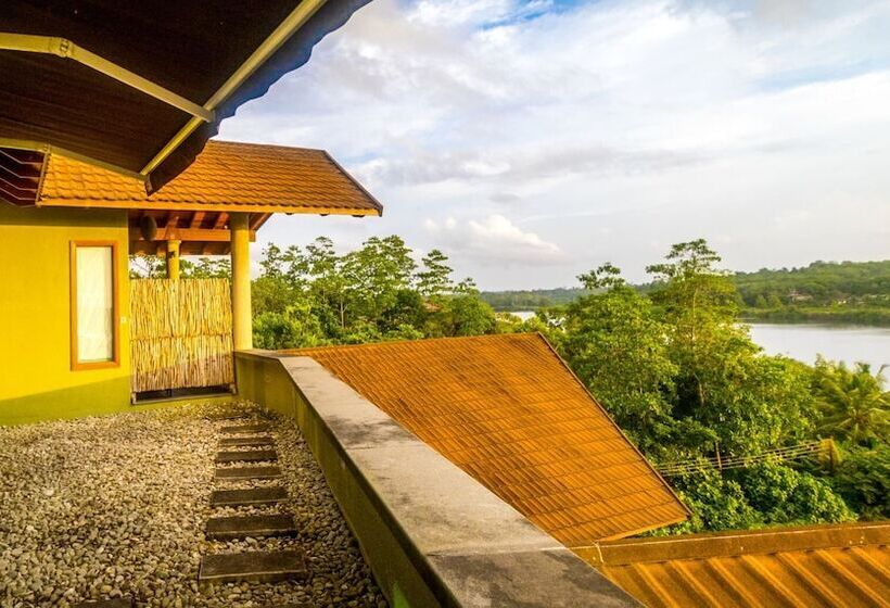 פנסיון Mastiff Grand Bolgoda