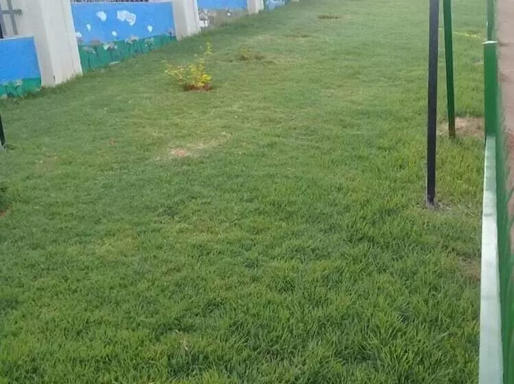 ペンション Naledi Lodge & Guest Houses