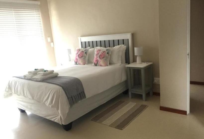 بنسيون The Vine