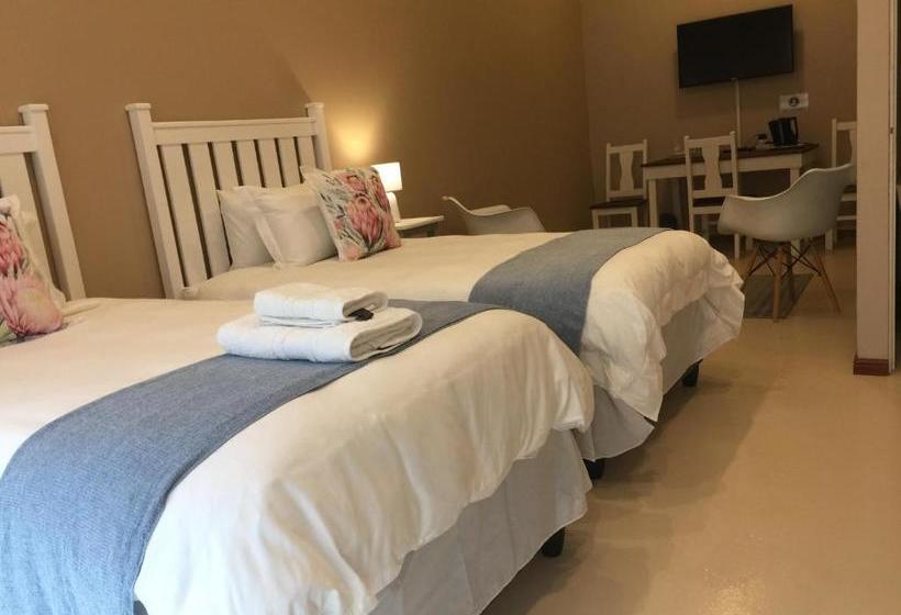 بنسيون The Vine