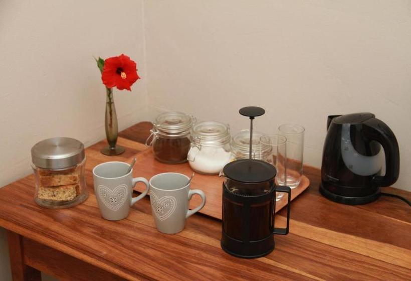 بنسيون The Vine