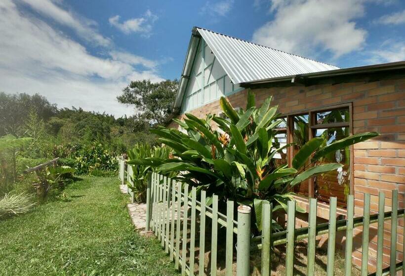 פנסיון Tribu Ecohostal