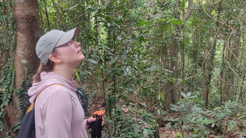 منتجع Ahas Gawwa