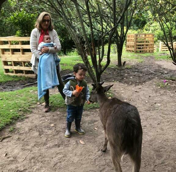 הוסטל Hacienda Santa Ana